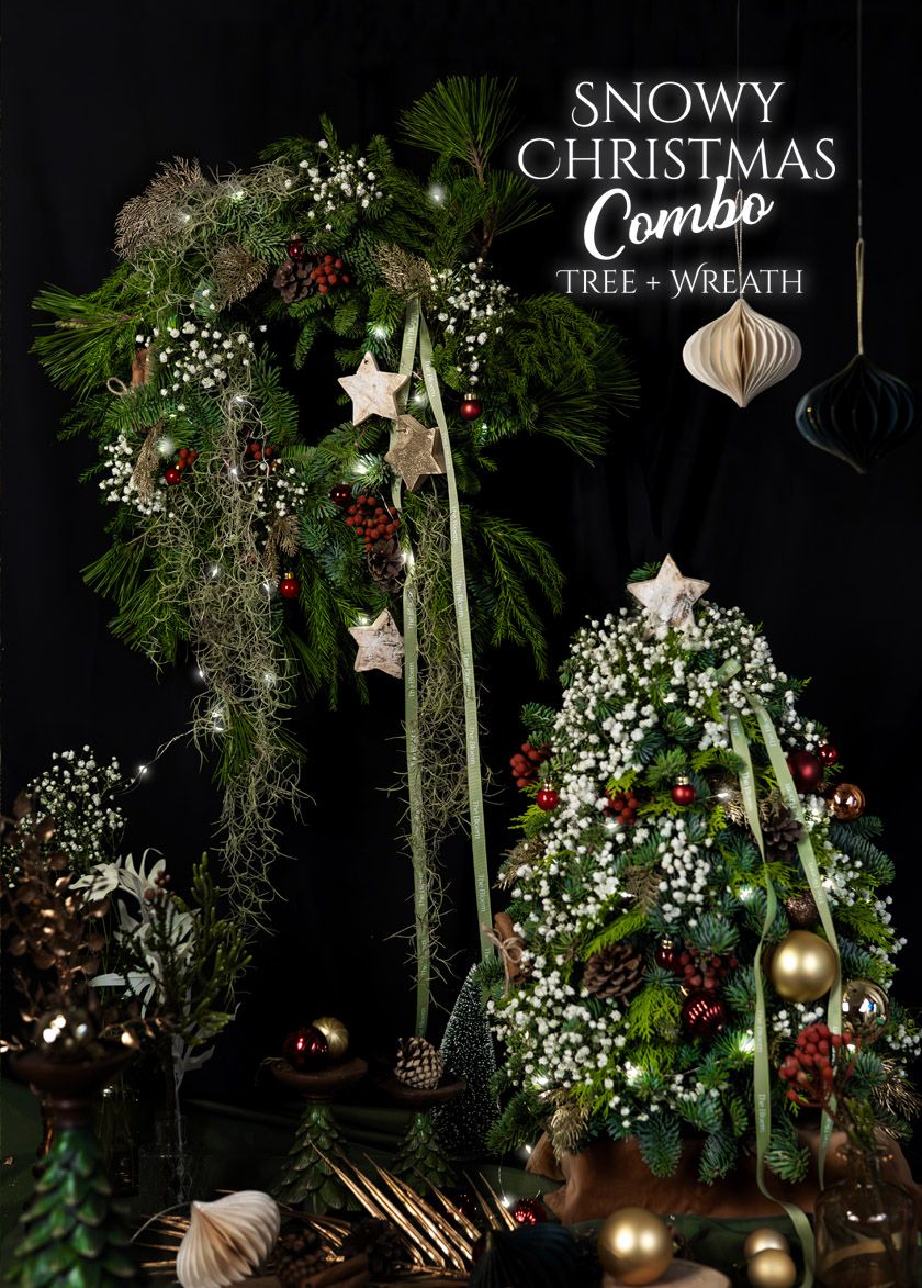 Snowy Christmas Wreath +Tree COMBO 2024