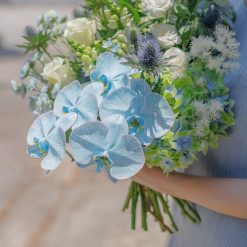 Alternative view of Coastal Breeze