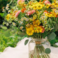 Alternative view of Fields of Monet