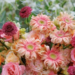 Alternative view of Flaming Tango