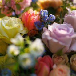 Alternative view of Garden Rhapsody