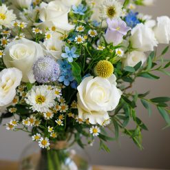 Alternative view of Morning Sunshine