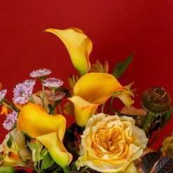 Alternative view of Harvest Delight